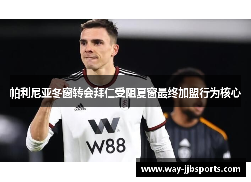 帕利尼亚冬窗转会拜仁受阻夏窗最终加盟行为核心 帕利尼亚冬窗转会拜仁受阻夏窗最终加盟行为核心